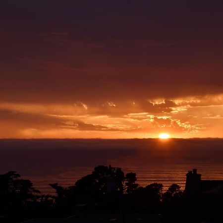 Horizon Inn & Ocean View Lodge Carmel-by-the-Sea Rum bild